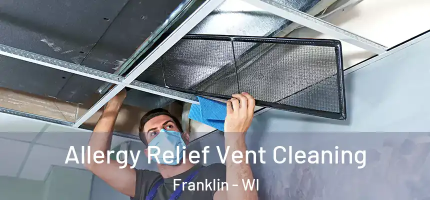  Allergy Relief Vent Cleaning Franklin - WI