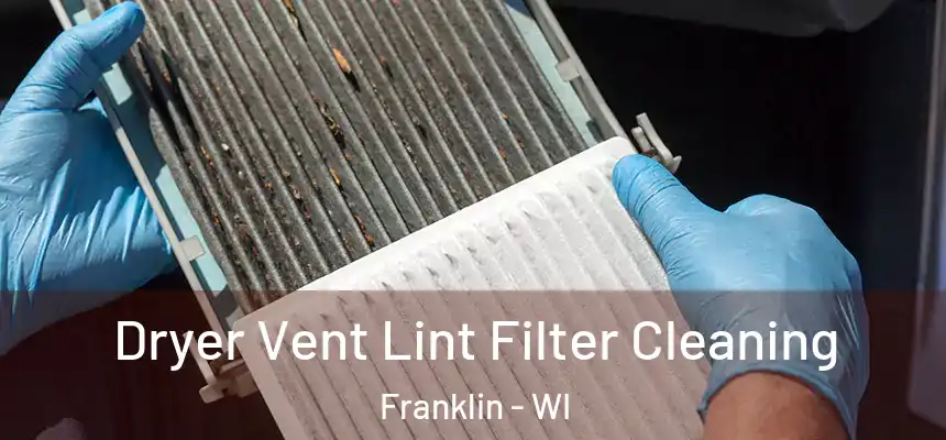  Dryer Vent Lint Filter Cleaning Franklin - WI