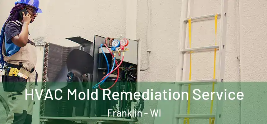  HVAC Mold Remediation Service Franklin - WI
