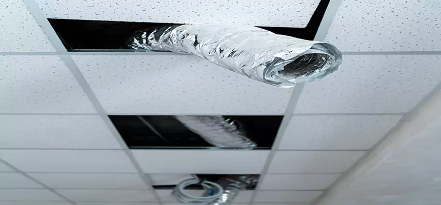 Our Air Duct Pet Hair Removal Services in Franklin, WI