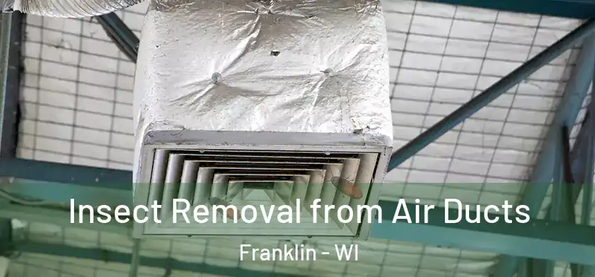  Insect Removal from Air Ducts Franklin - WI