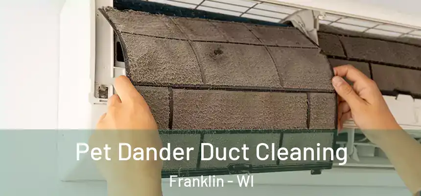  Pet Dander Duct Cleaning Franklin - WI