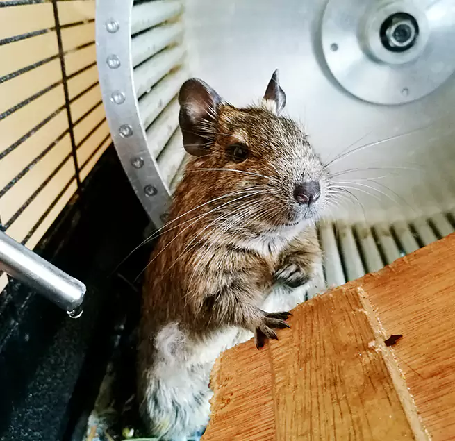 Why Homeowners & Businesses Trust Us Franklin, WI?